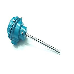 PT 100 RTD type sensor